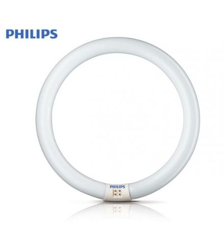 TUBO CIRCULAR 32w 865 PHILIPS *