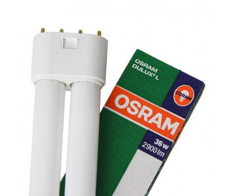 DULUX L 36w 865 OSRAM *