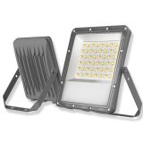 PROYECTOR LED 30w CCT gama ECO *